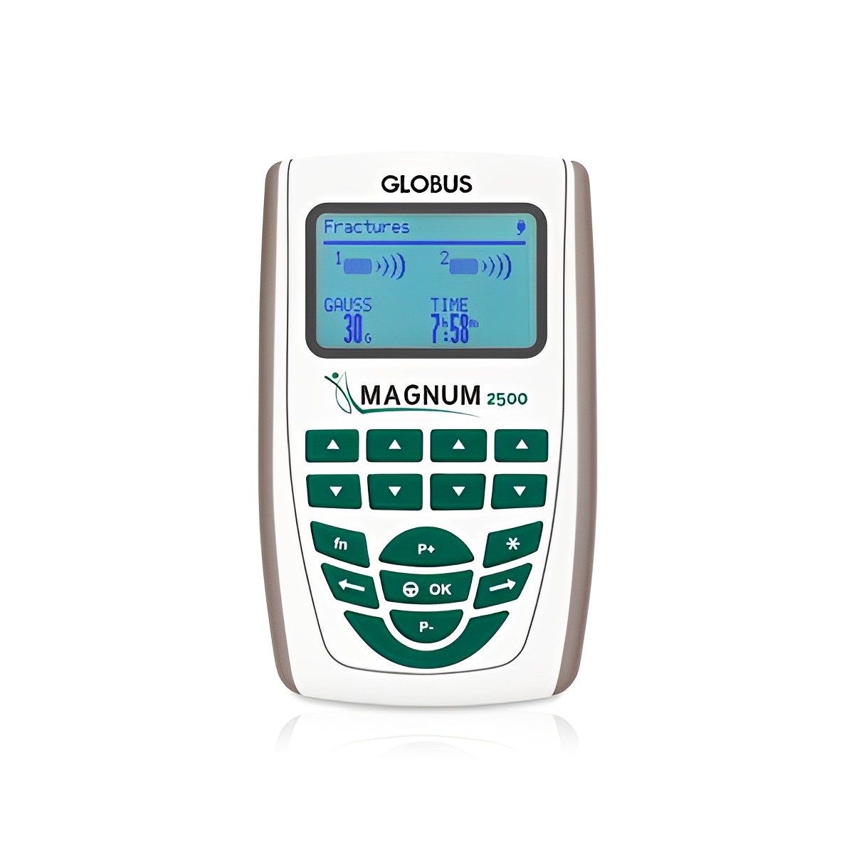 Magnetoterapia Magnum 2500